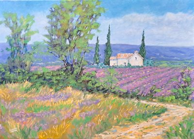 Paysage de Provence